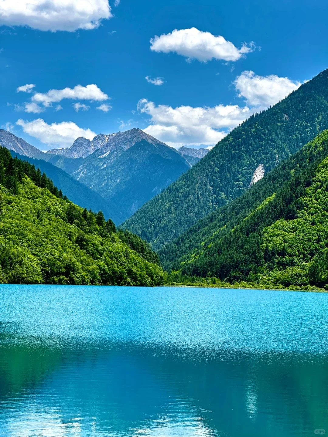 7.28📍九寨沟旅游现状。。踩雷踩到崩溃