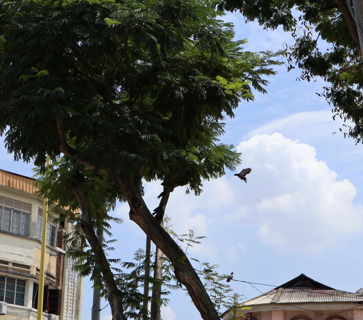 重庆—马来西亚七日游攻略