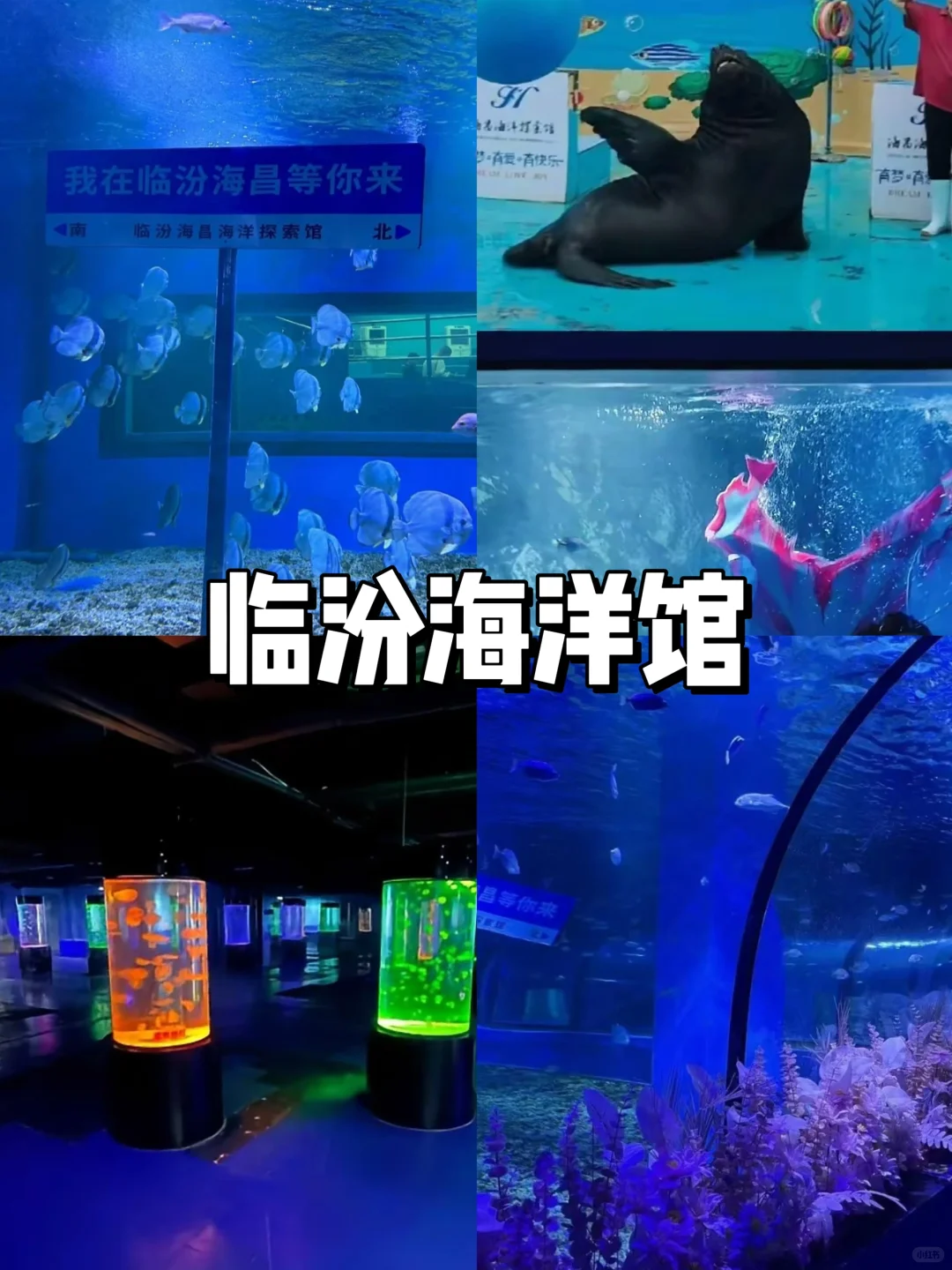 临汾｜遛娃必打卡的9个宝藏地