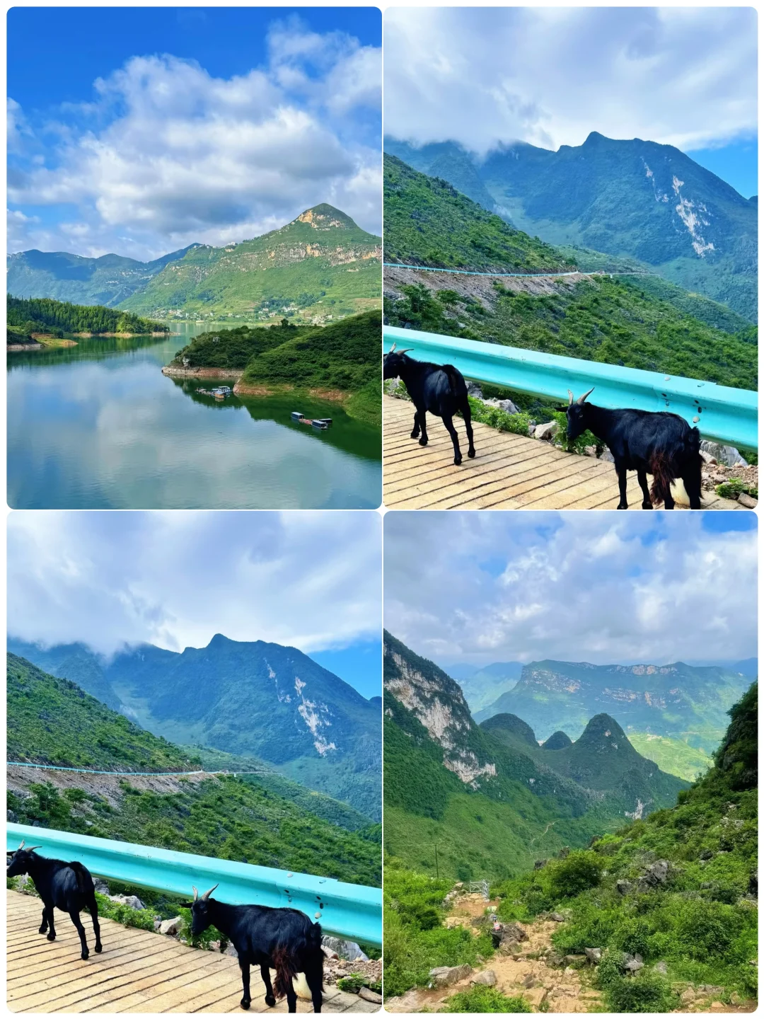 适合带父母避暑，预算1k以内4个方向出游地