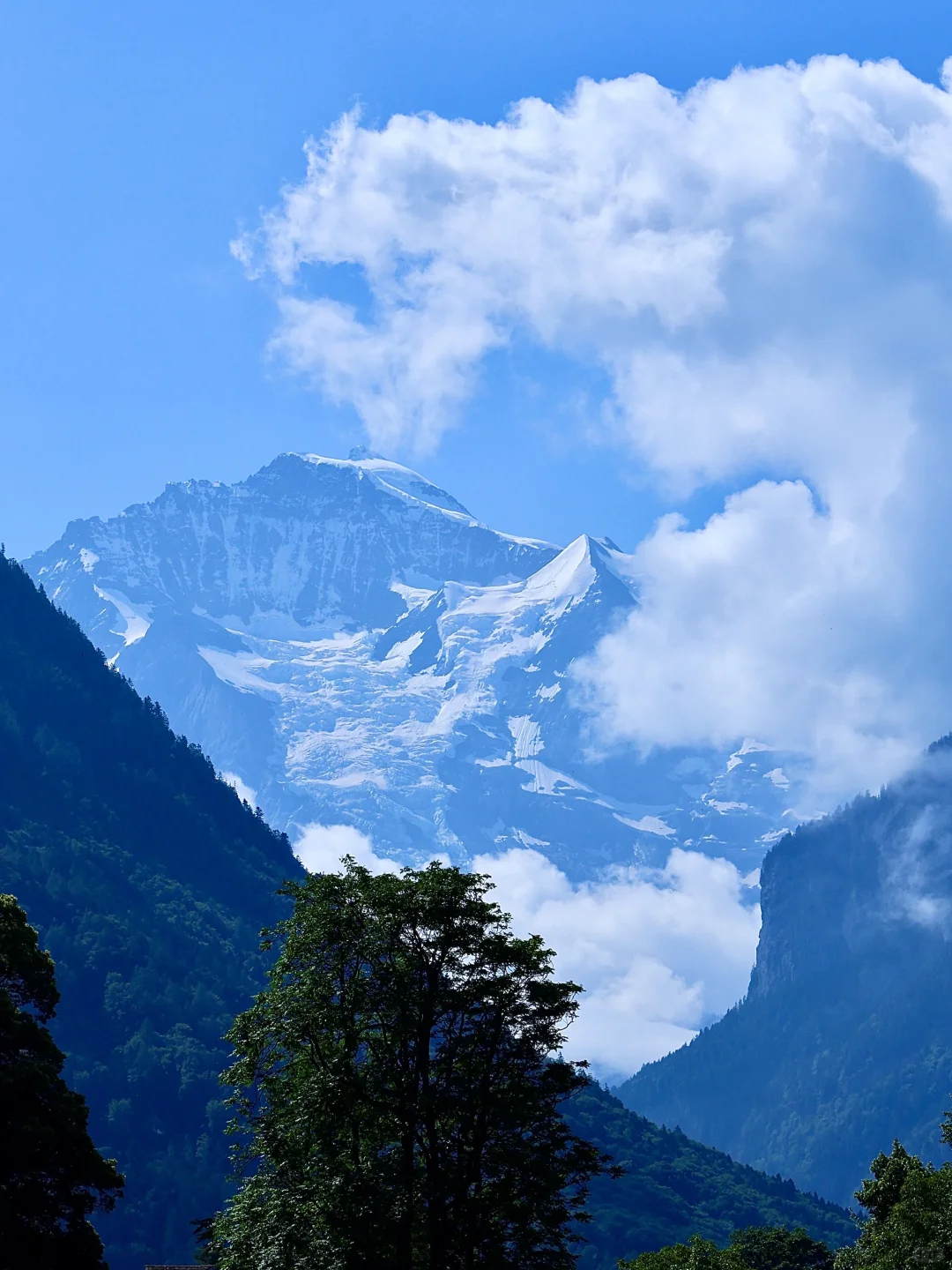 年轻人不要轻易来瑞士🇨🇭
