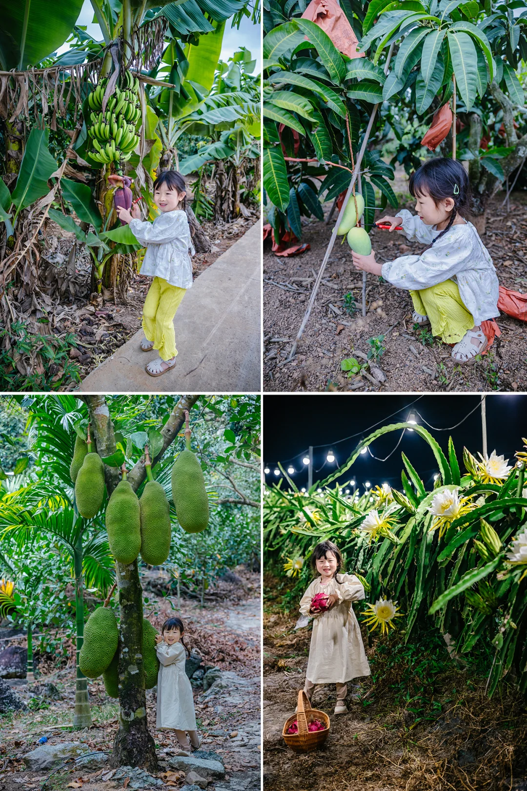 带娃在陵水已经住了10天❗听听我的真实感受