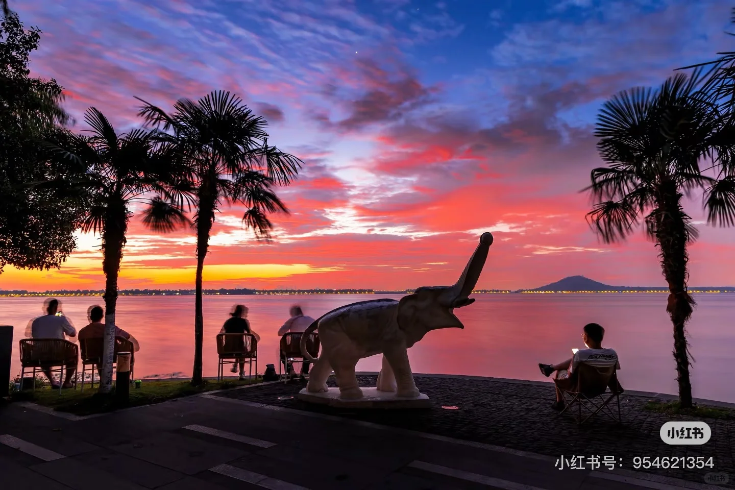 7-8月武汉东湖听涛景区旅游攻略🌅（可看日出