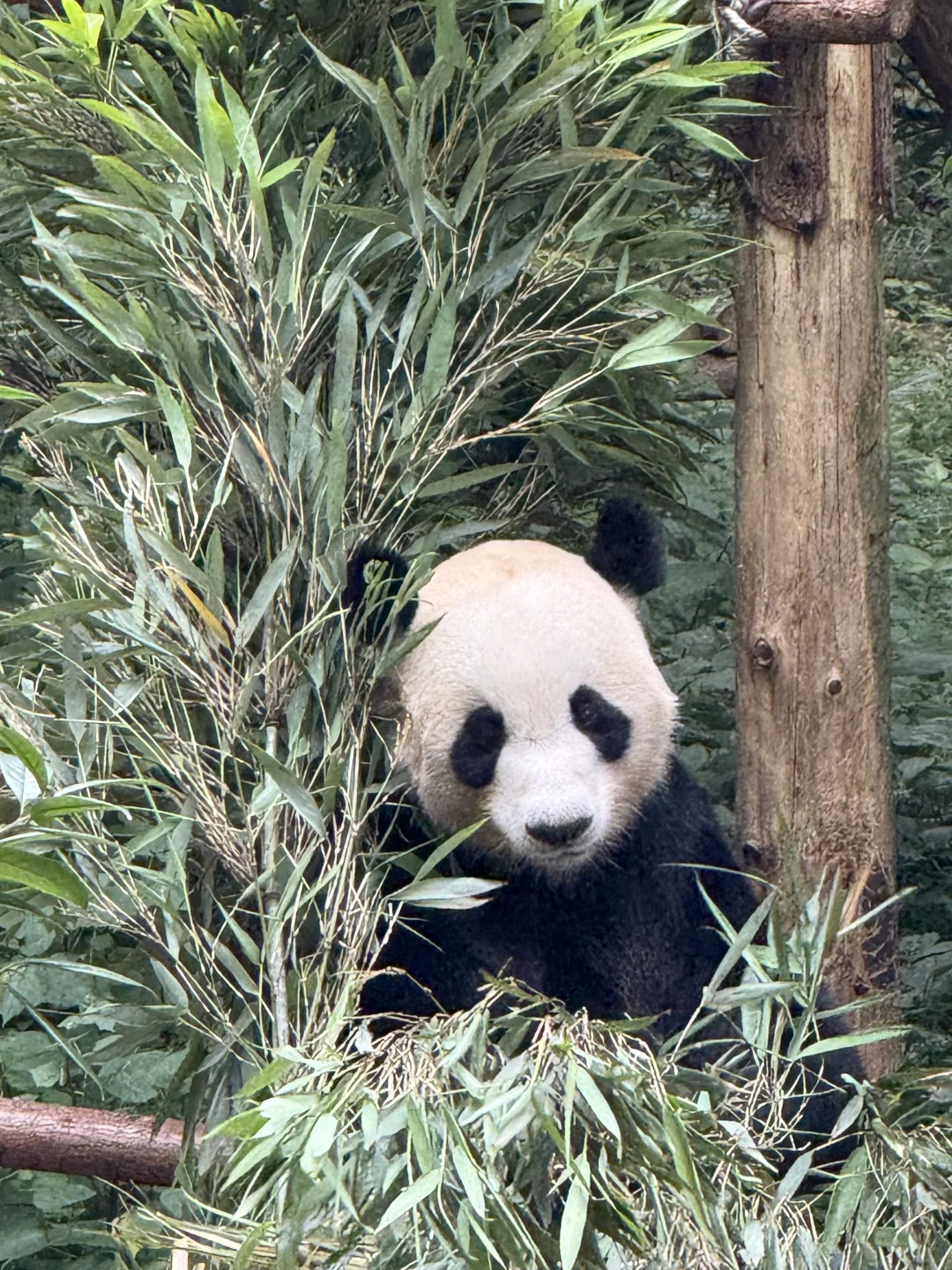 贵州行｜P人从贵阳到黔东南“劳逸结合版”