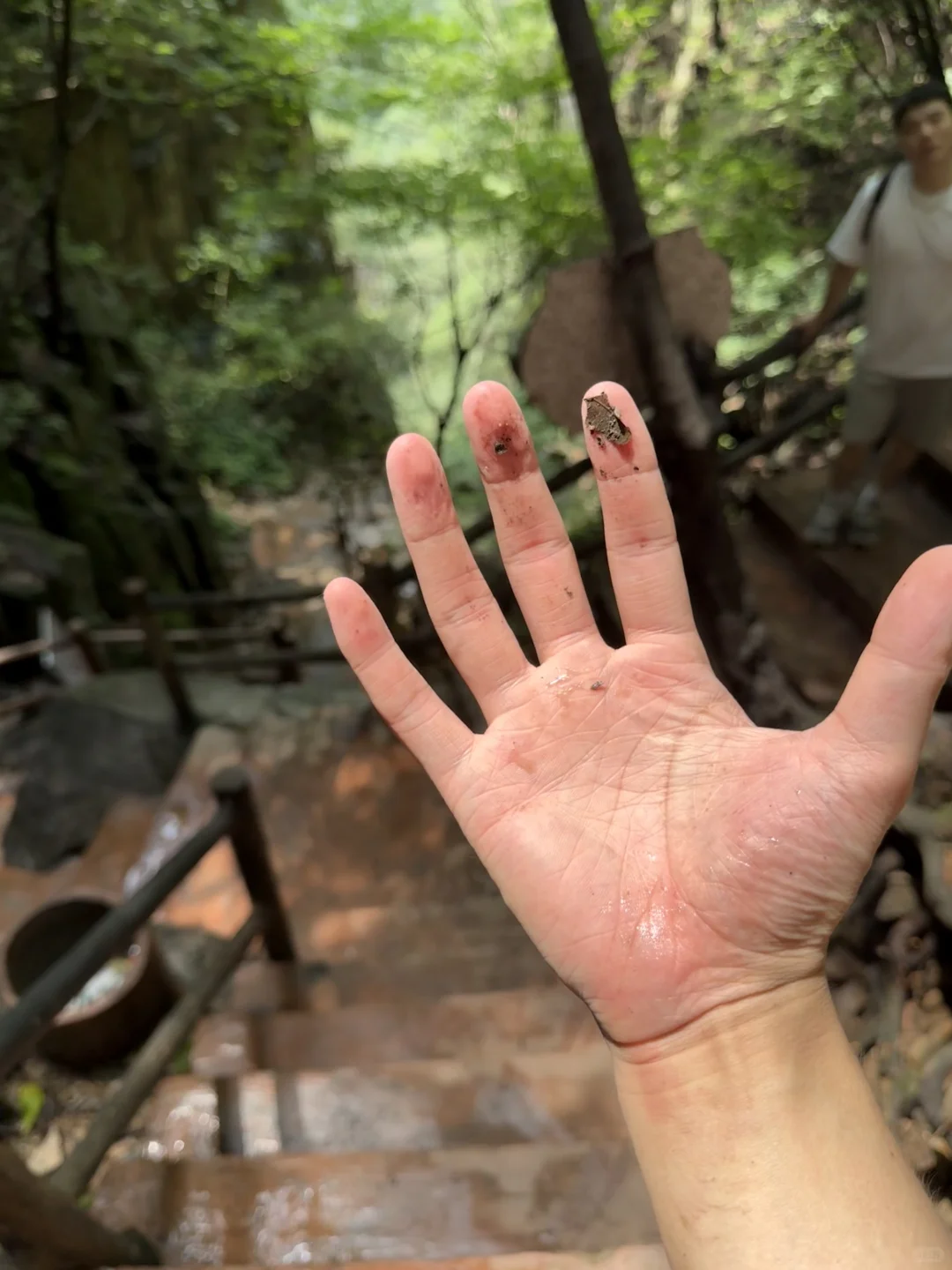 周口项城出发一日游推荐