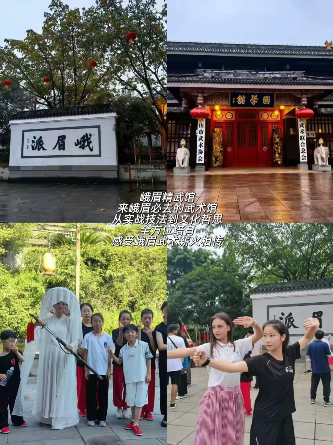 峨眉山旅游攻略🎒这趟旅程太值了！