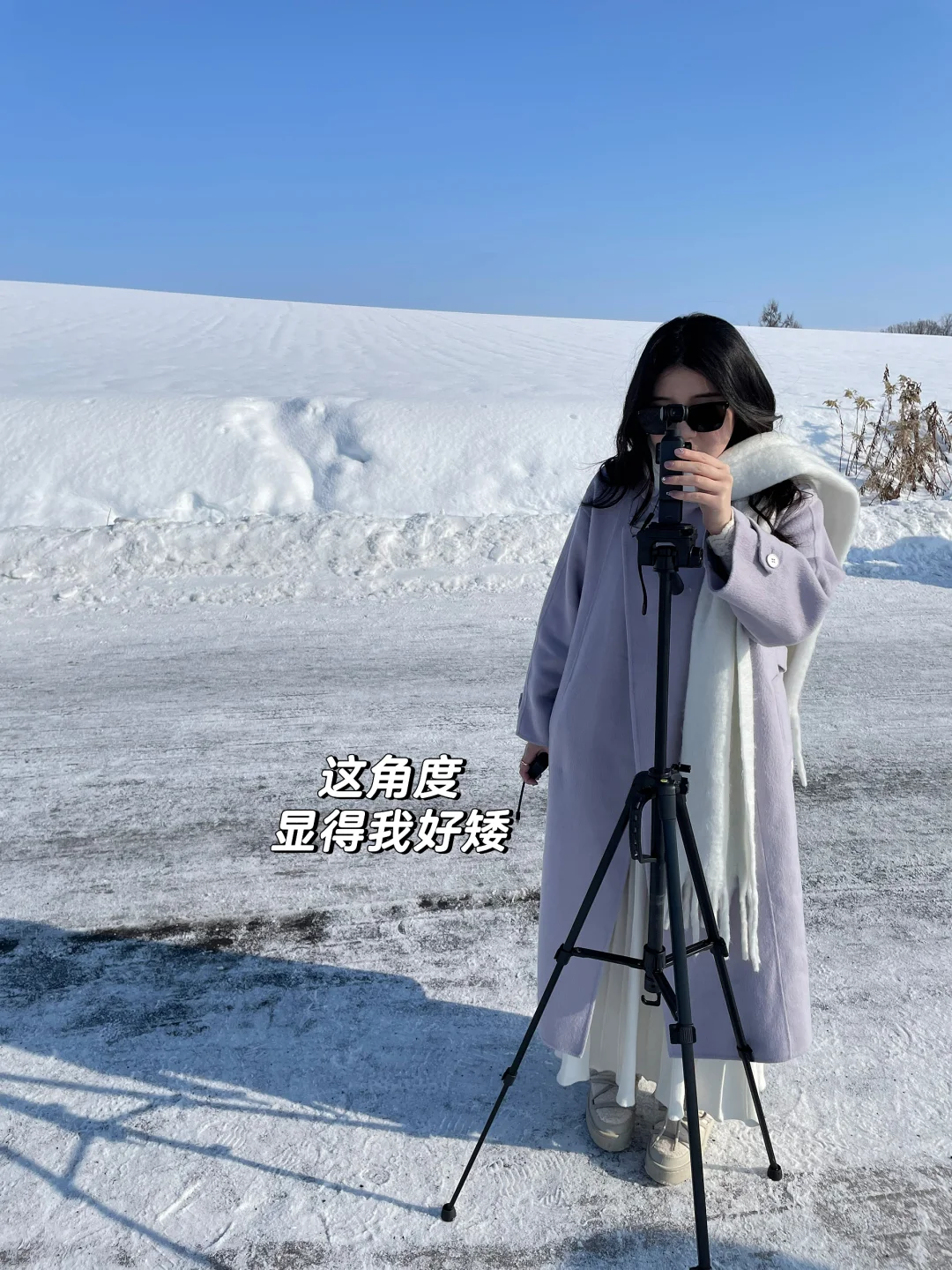 记忆带我来到了美瑛“孤独的树”🌲