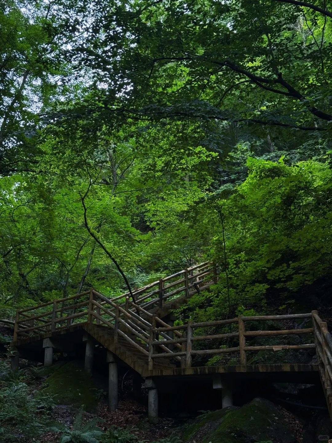 辽宁避暑天花板！本溪大冰沟太出片了！！