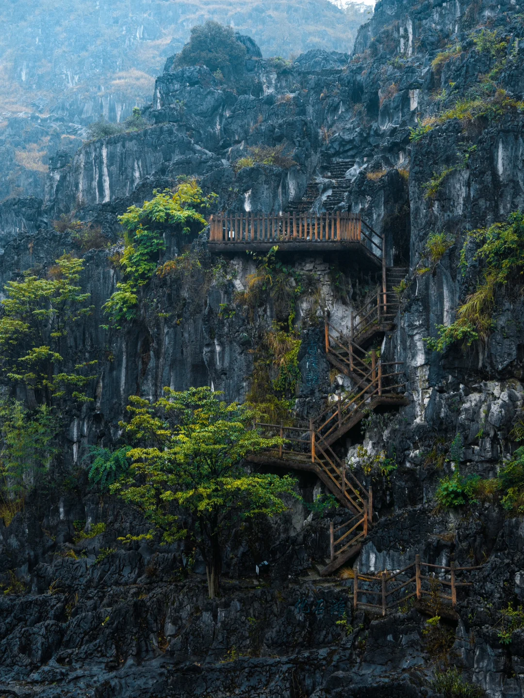 为了这组照片，特意自驾去了趟宜宾！值得么？