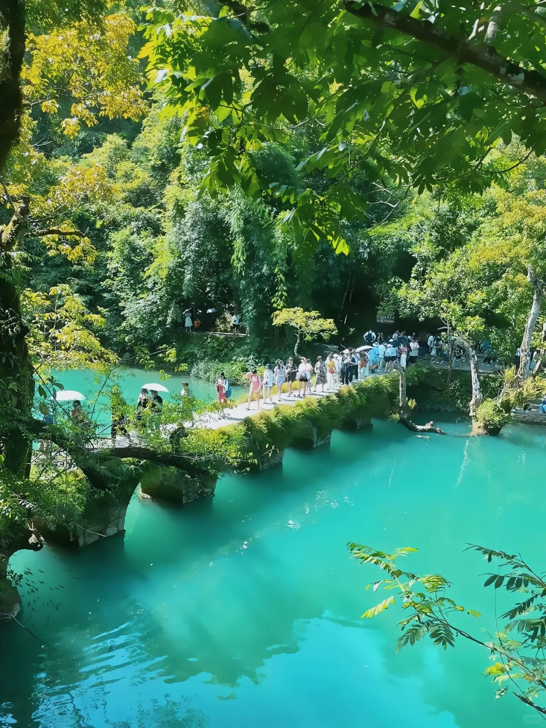 5A旅游景区贵州小七孔旅游攻略