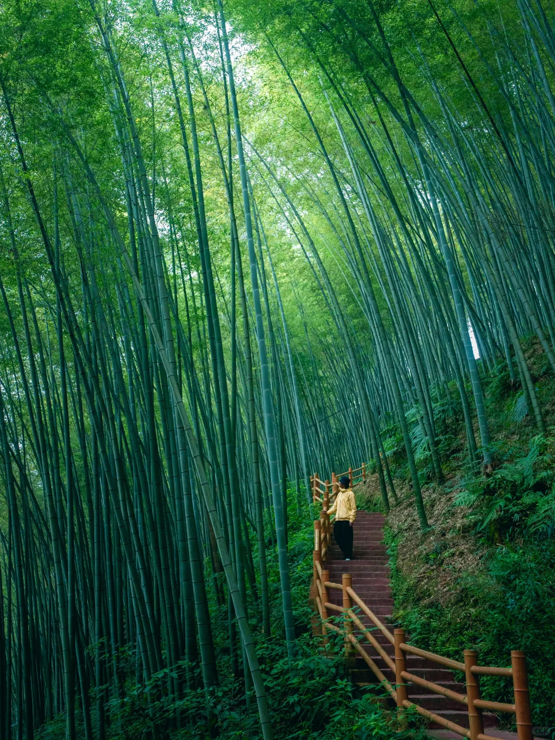 为了这组照片，特意自驾去了趟宜宾！值得么？