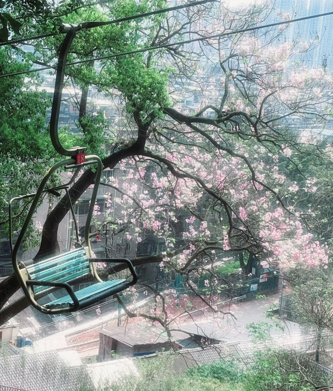 听劝,宜宾会惩罚每一个不做攻略的人❗