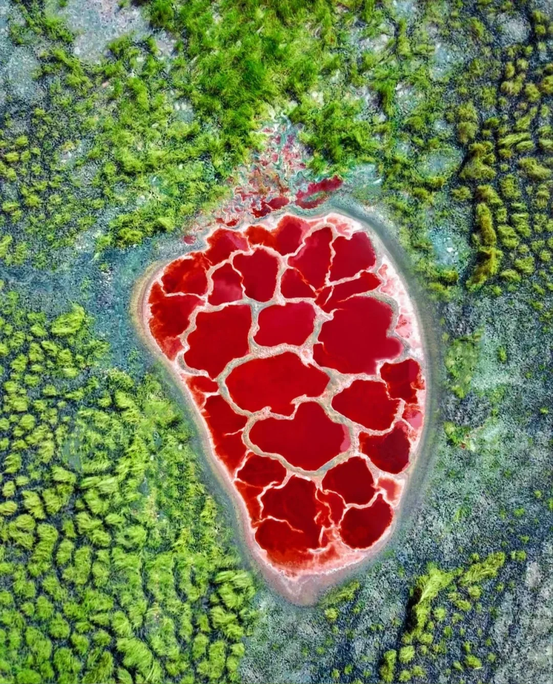 初见宁夏，塞上江南