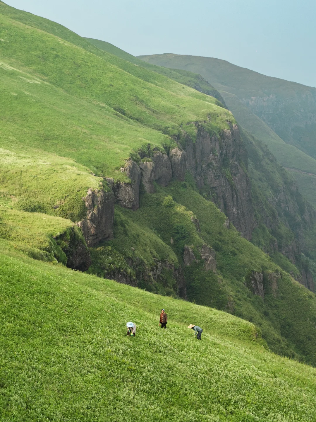 被朋友圈问疯，不是新疆内蒙❗️在贵州❗️