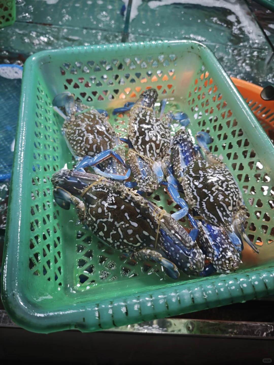 海南旅游（2.万宁）