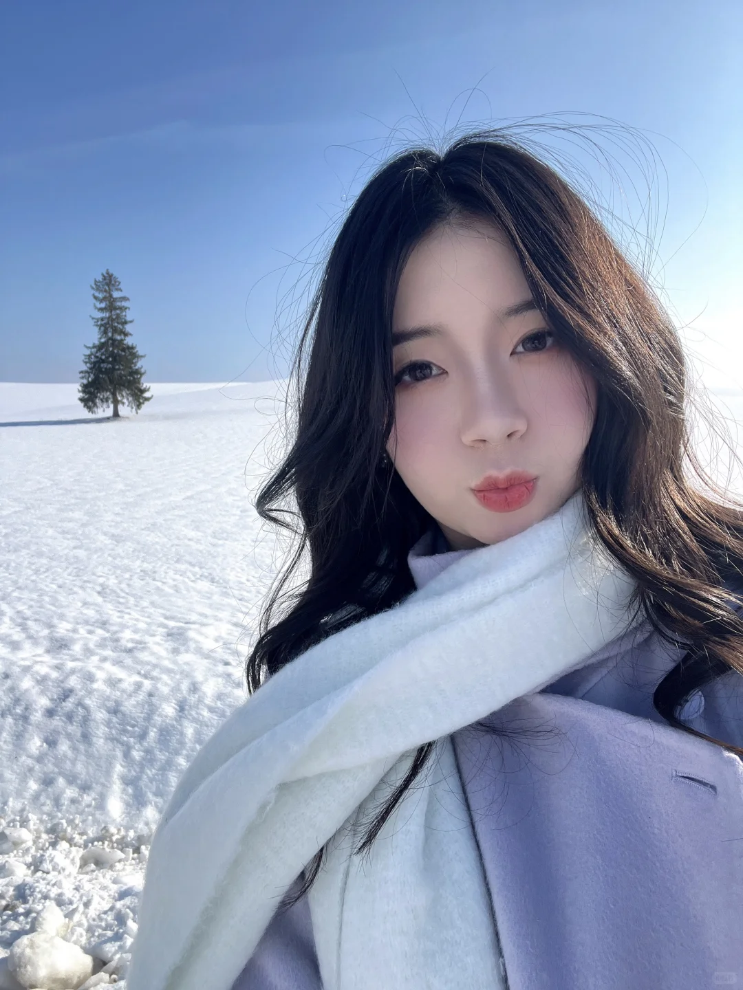 记忆带我来到了美瑛“孤独的树”🌲