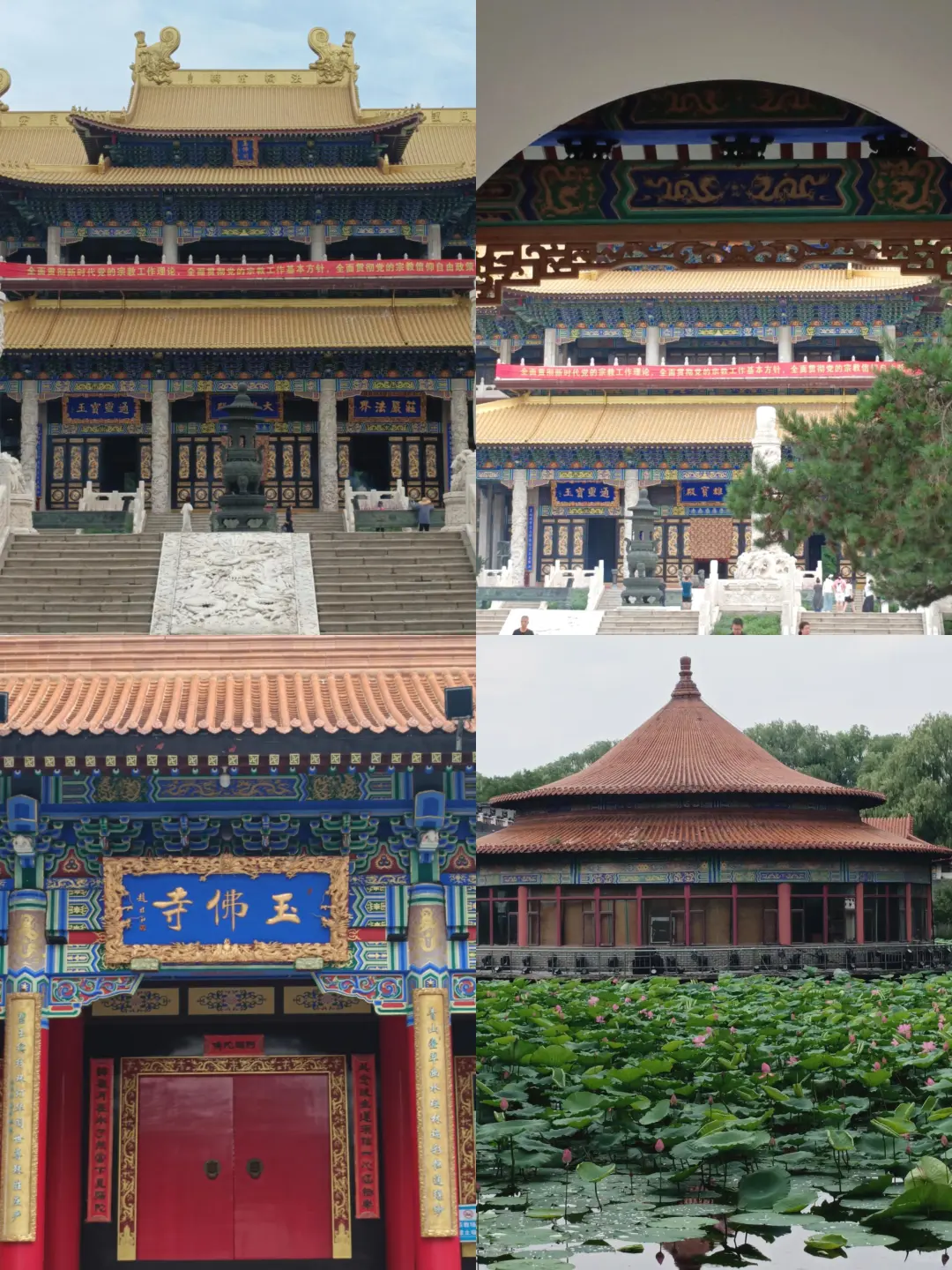 鞍山打卡♡一日游（不爬千山版）