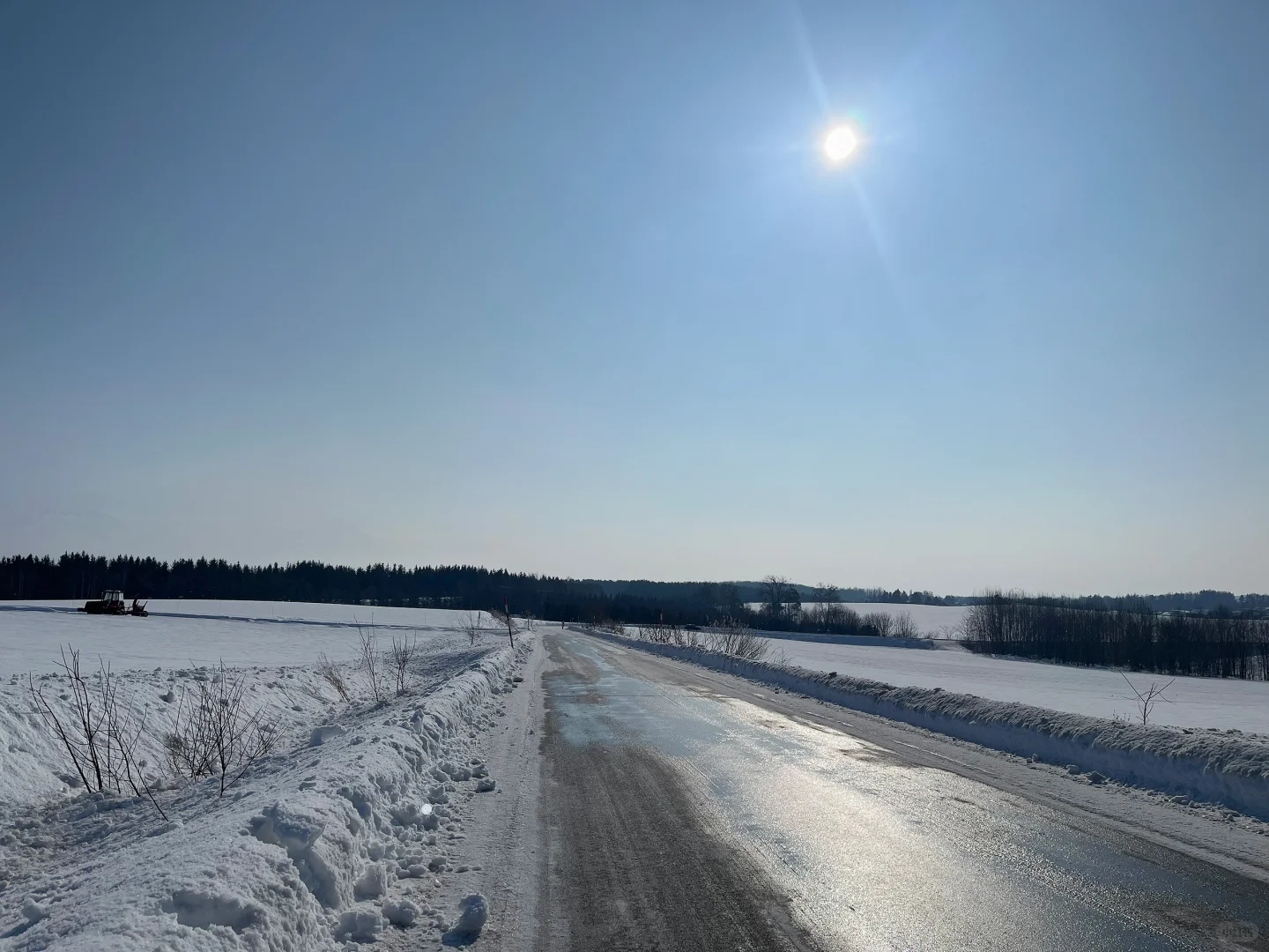 记忆带我来到了美瑛“孤独的树”🌲