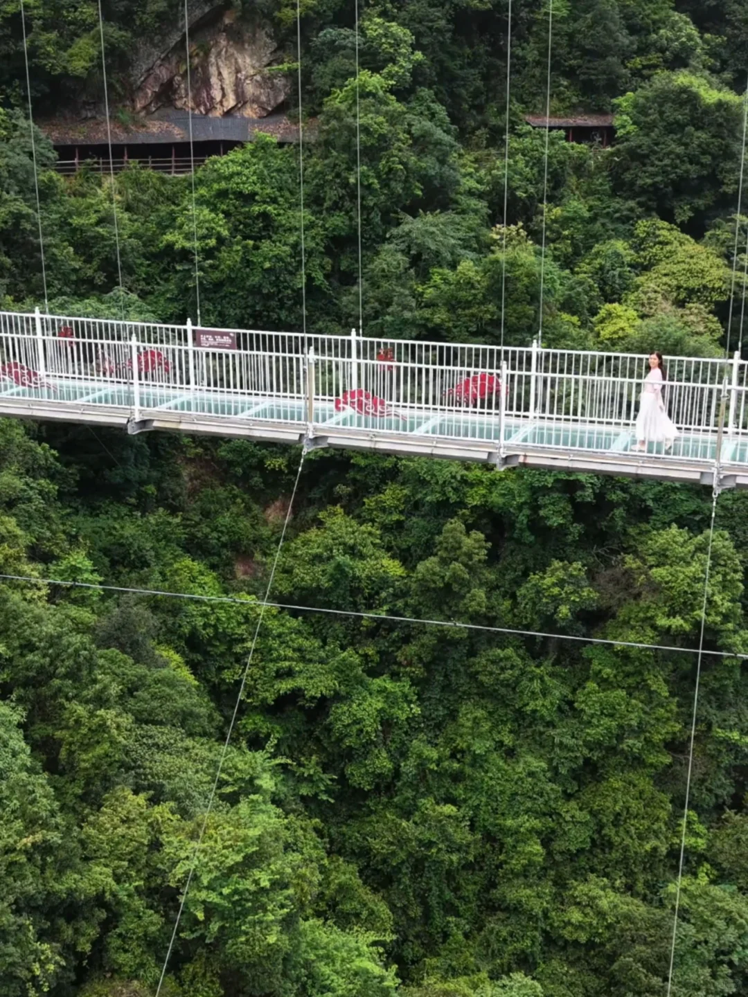 广东宝藏景区|韶关云门山不用爬山还免门票