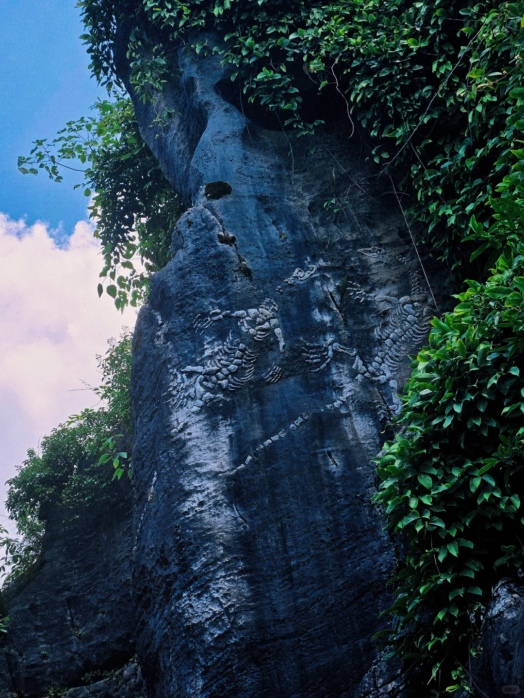 小众景点贵阳喀斯特石林公园攻略