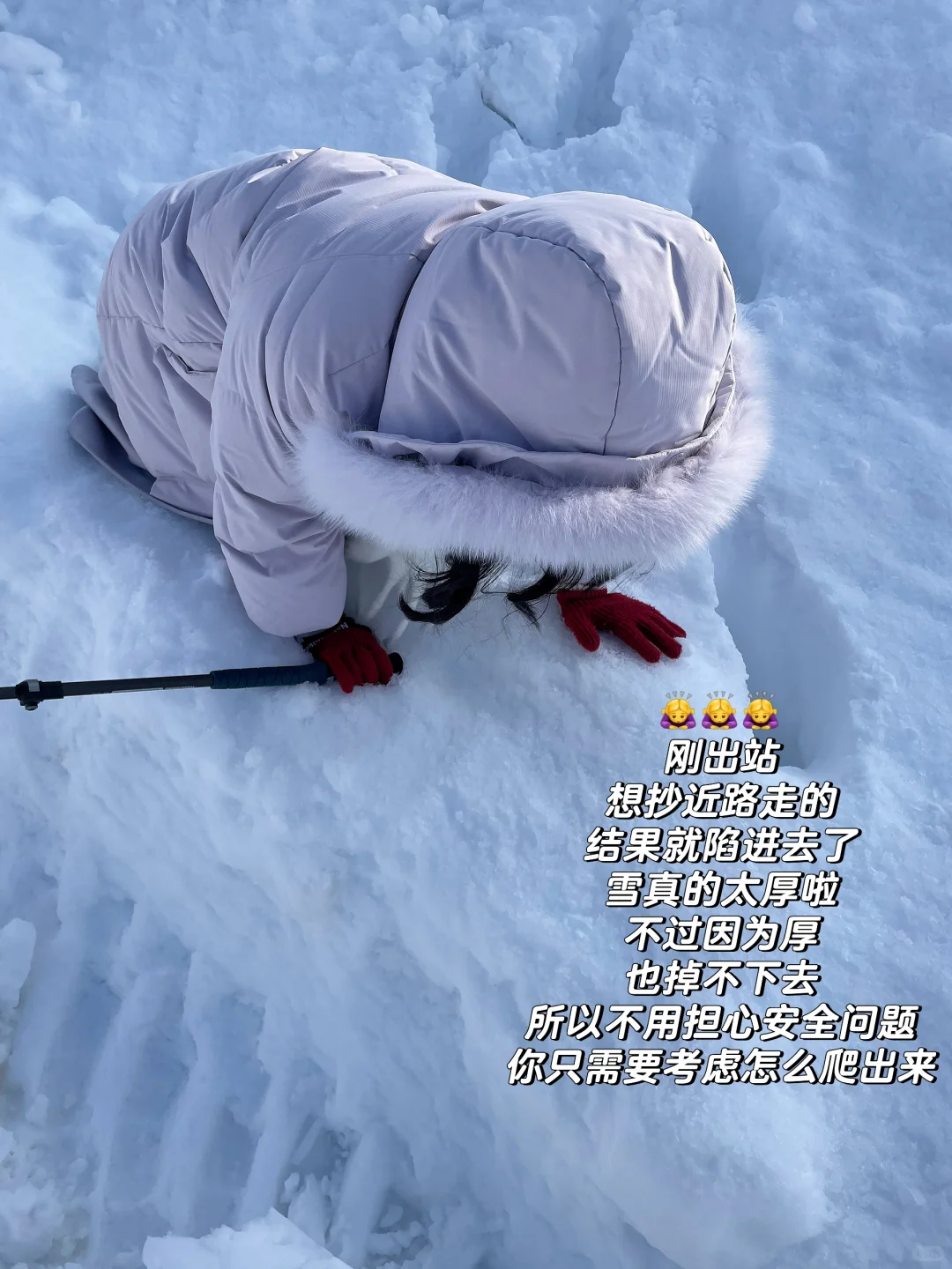 记忆带我来到了美瑛“孤独的树”🌲