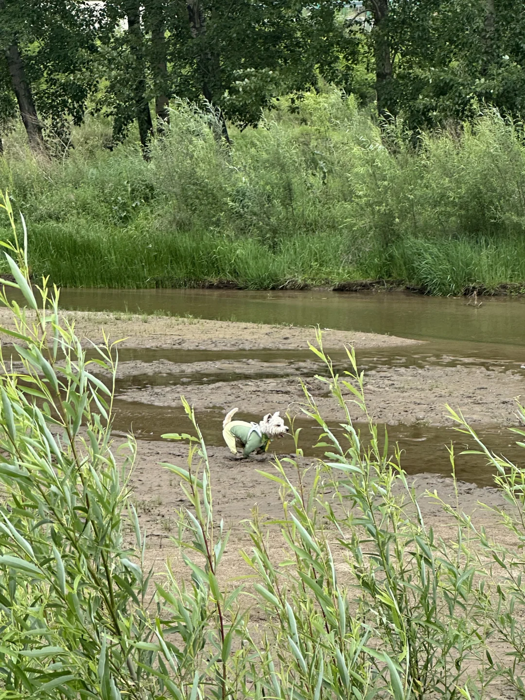 五寨沟| 99%人都不知道的小众绝美秘境🍀
