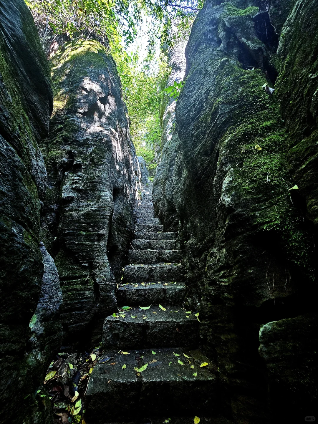 小众景点贵阳喀斯特石林公园攻略