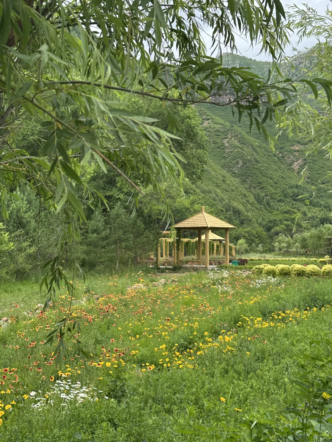 五寨沟| 99%人都不知道的小众绝美秘境🍀