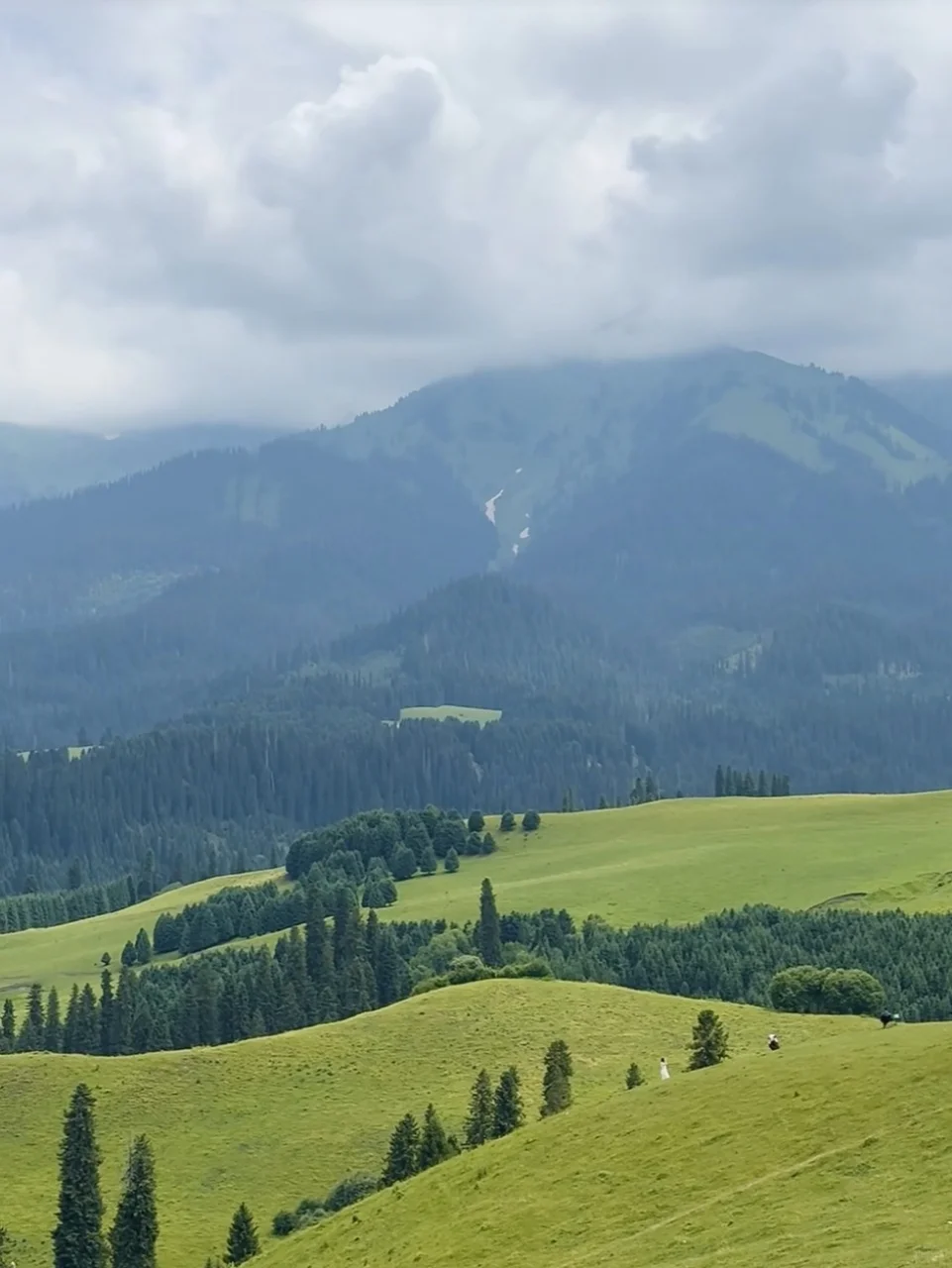 7.31📍新疆已回，别带错衣服了…😭😅