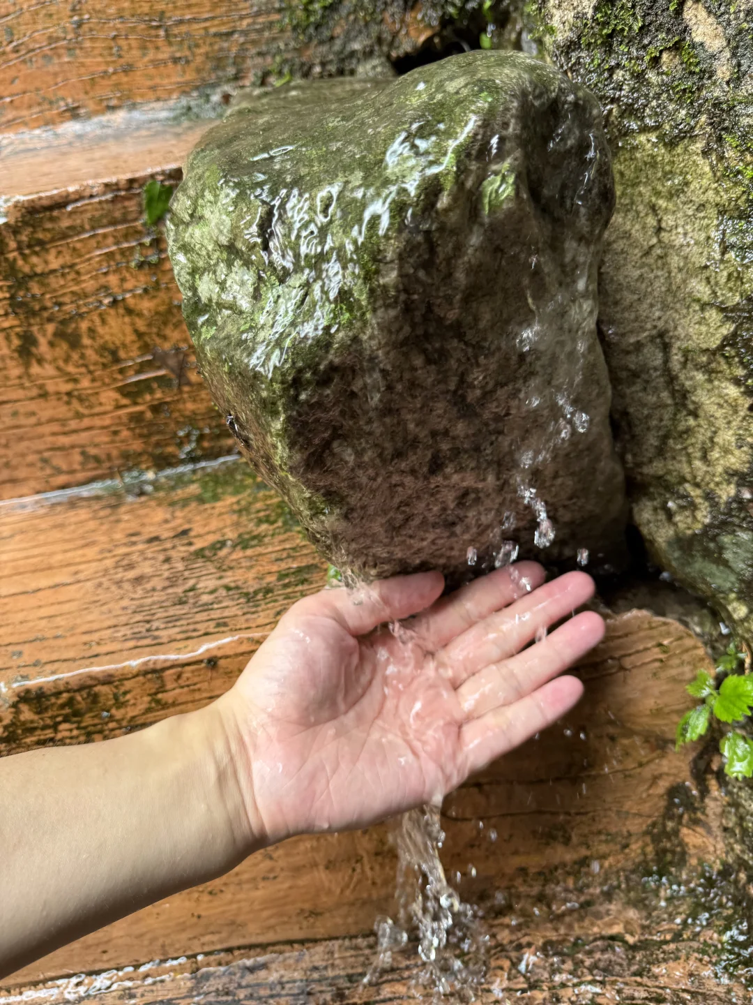 周口项城出发一日游推荐