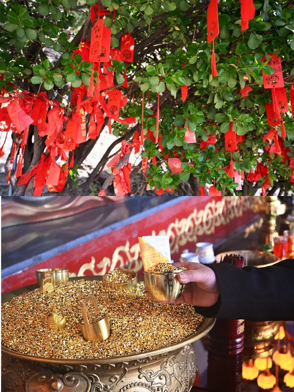 救命！被邯郸千年石窟美到窒息！速码攻略