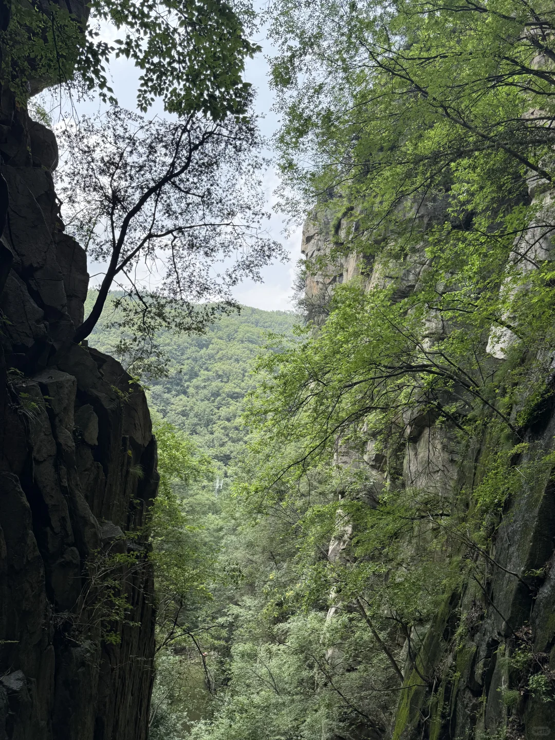周口项城出发一日游推荐