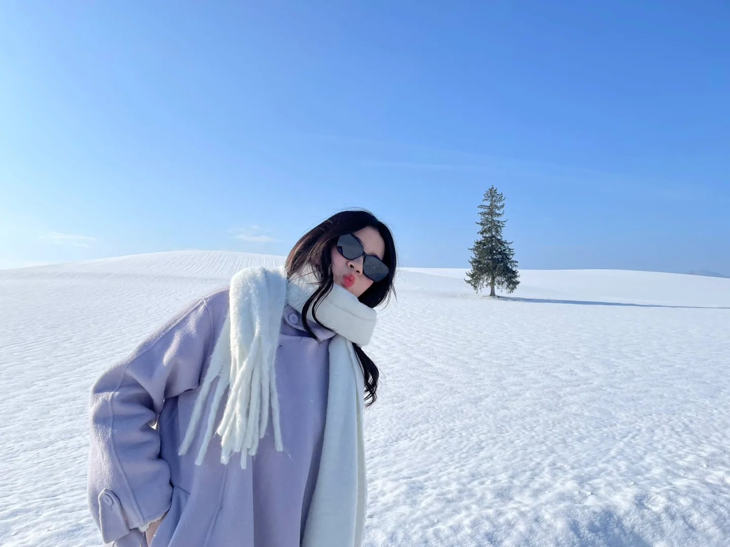 记忆带我来到了美瑛“孤独的树”🌲