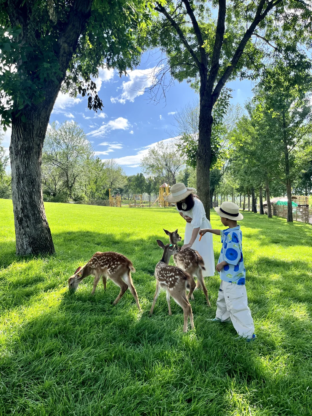 天津🚗2h“小新疆”，那拉提同款“山川草原”