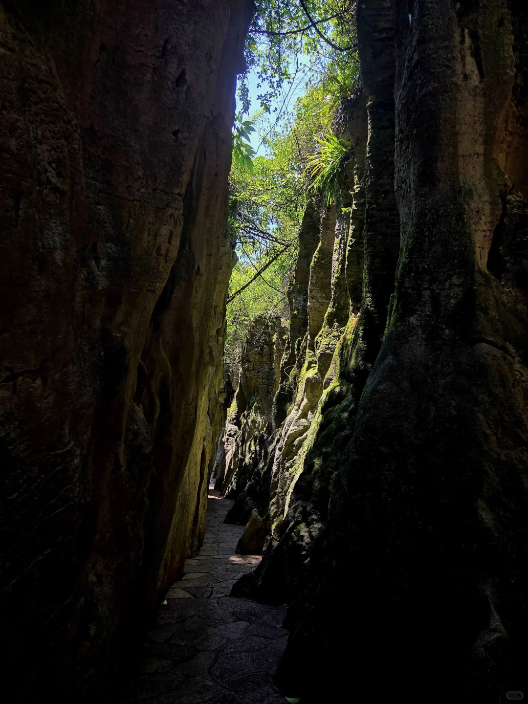 小众景点贵阳喀斯特石林公园攻略