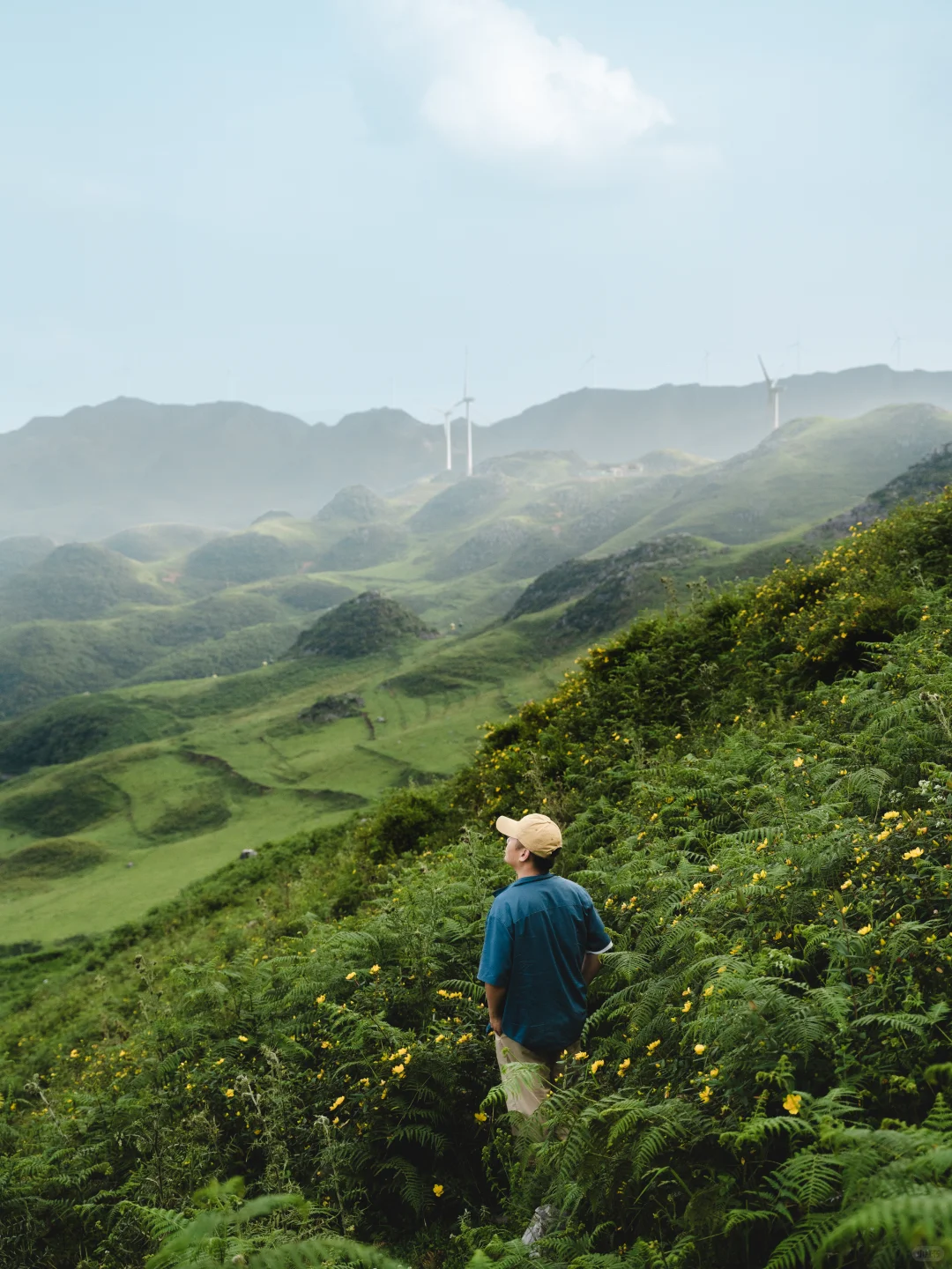 被朋友圈问疯，不是新疆内蒙❗️在贵州❗️