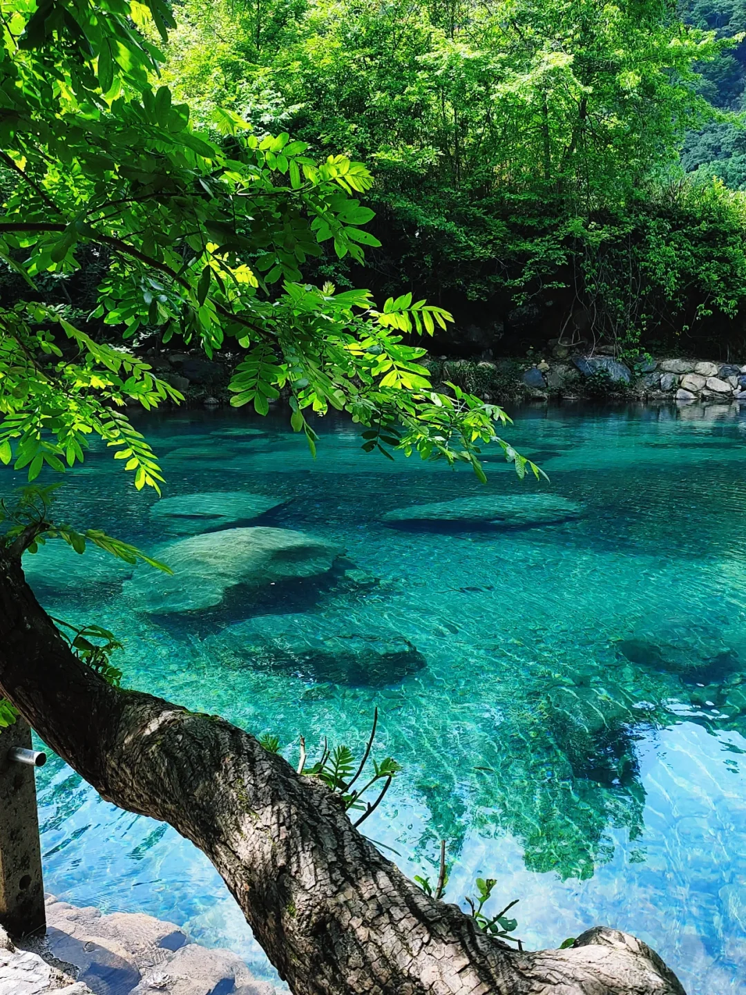 抄作业❗️❗️去池州这样玩~