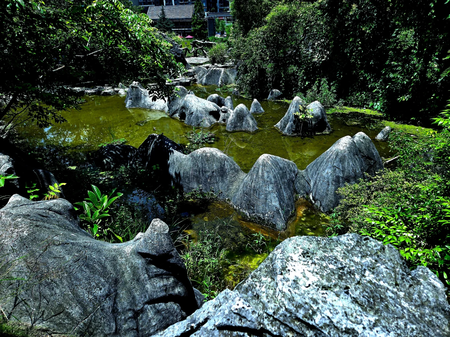 小众景点贵阳喀斯特石林公园攻略