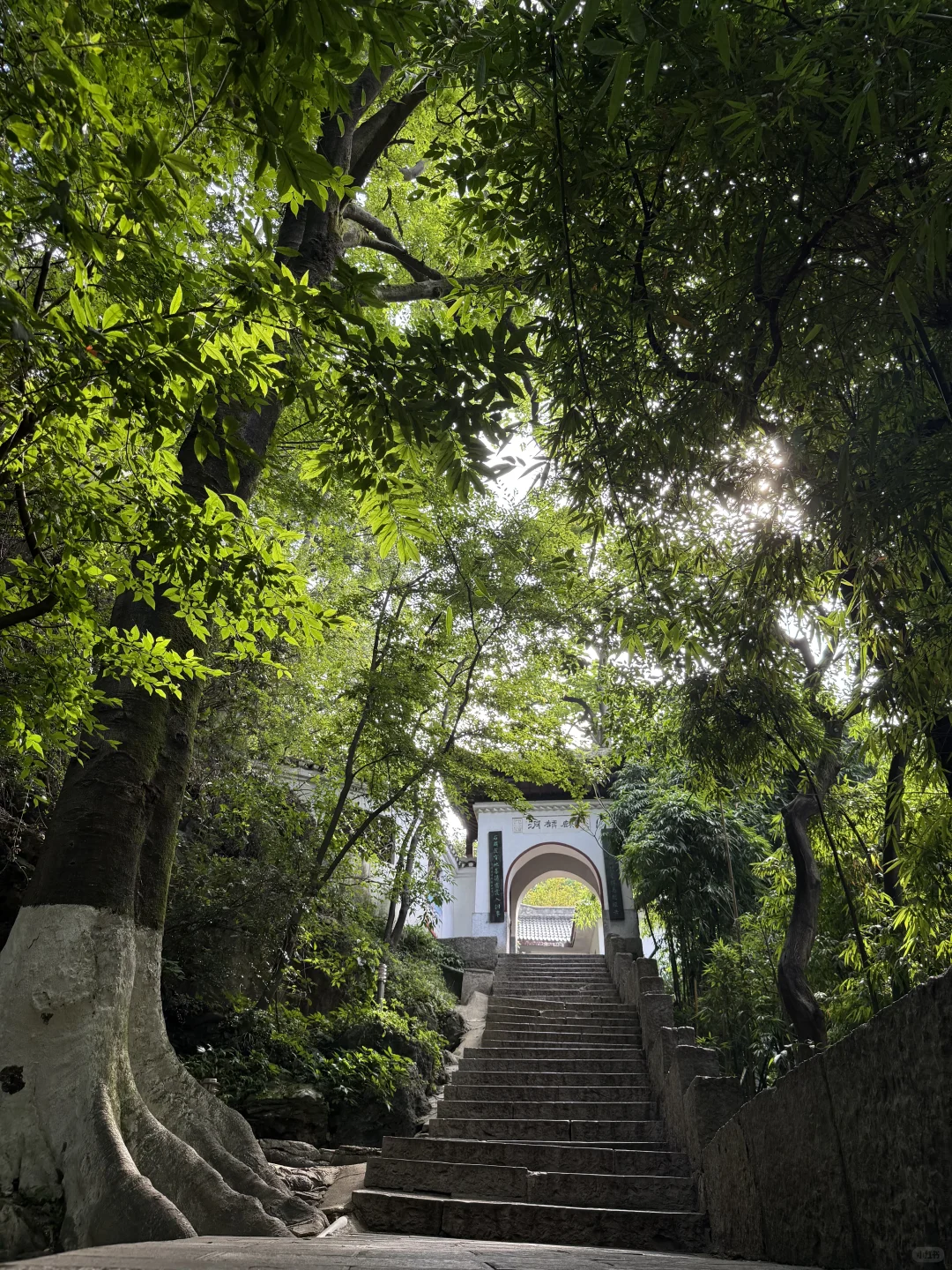 贵州行｜P人从贵阳到黔东南“劳逸结合版”