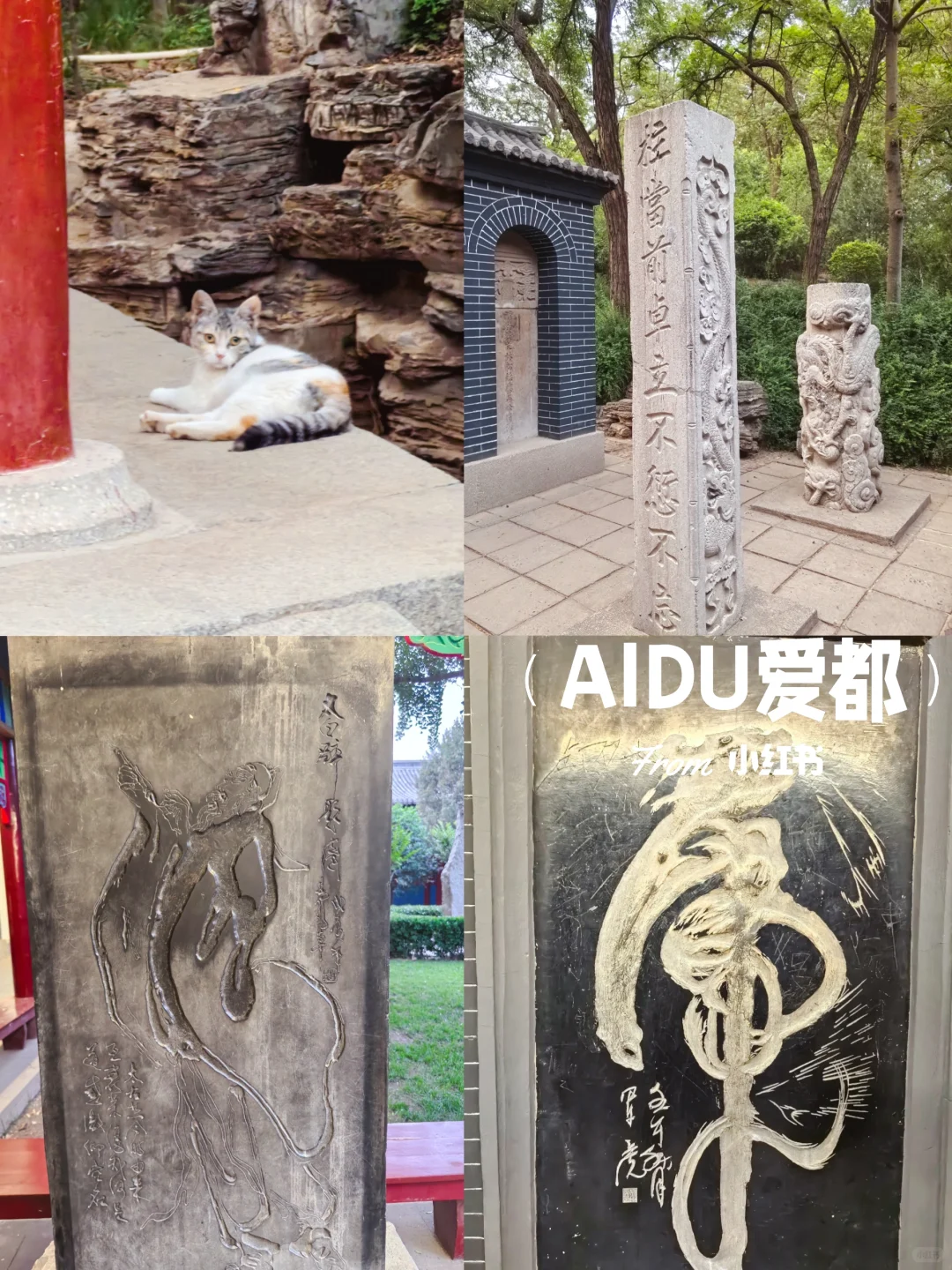 邯郸丛台公园 一墙一景一风韵 等你三千年！