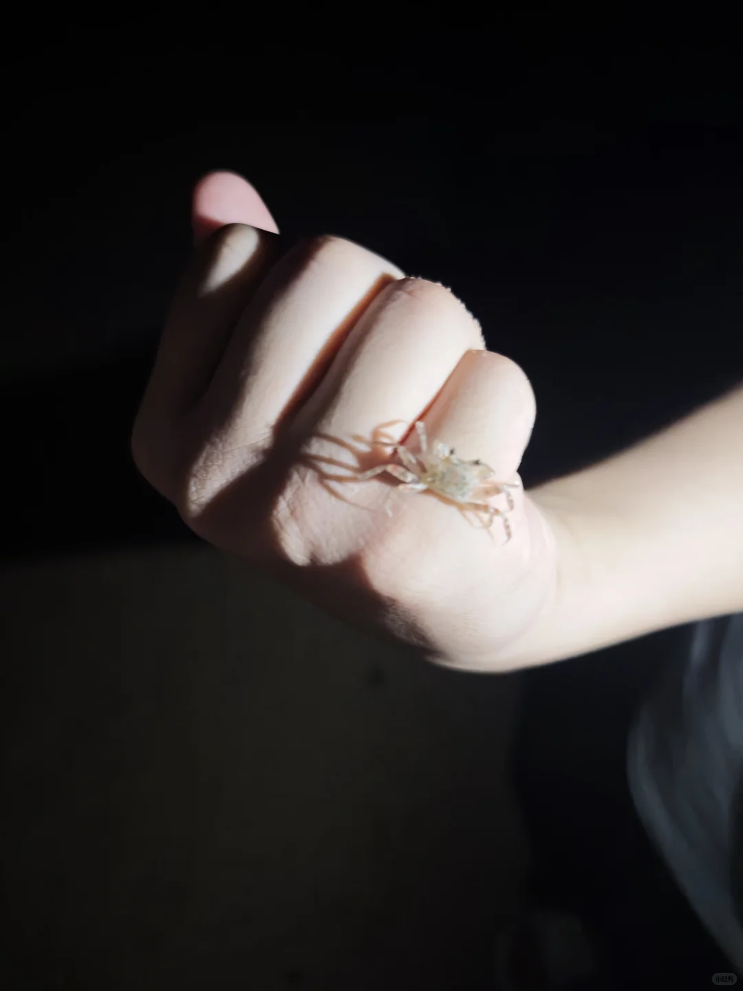 海南旅游（2.万宁）