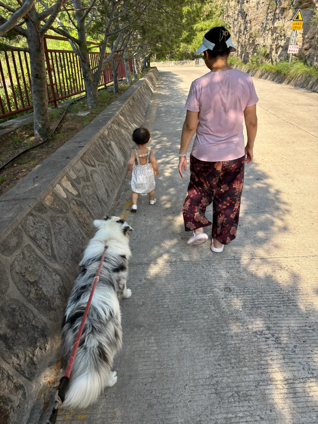 开车带娃和狗狗去玩水