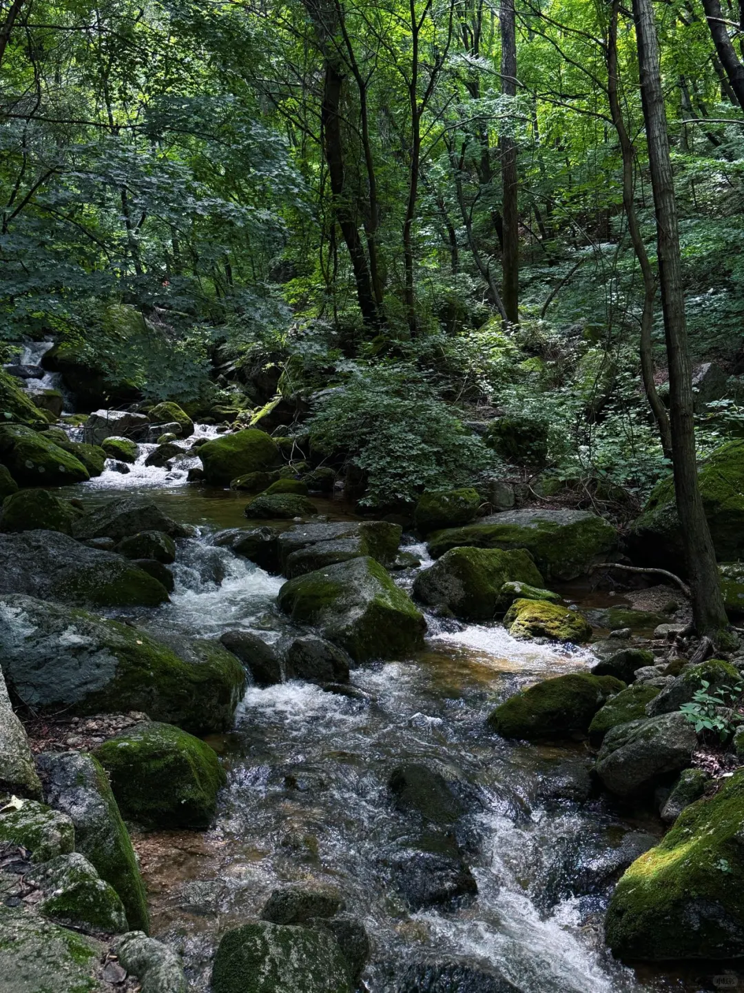 辽宁避暑天花板！本溪大冰沟太出片了！！