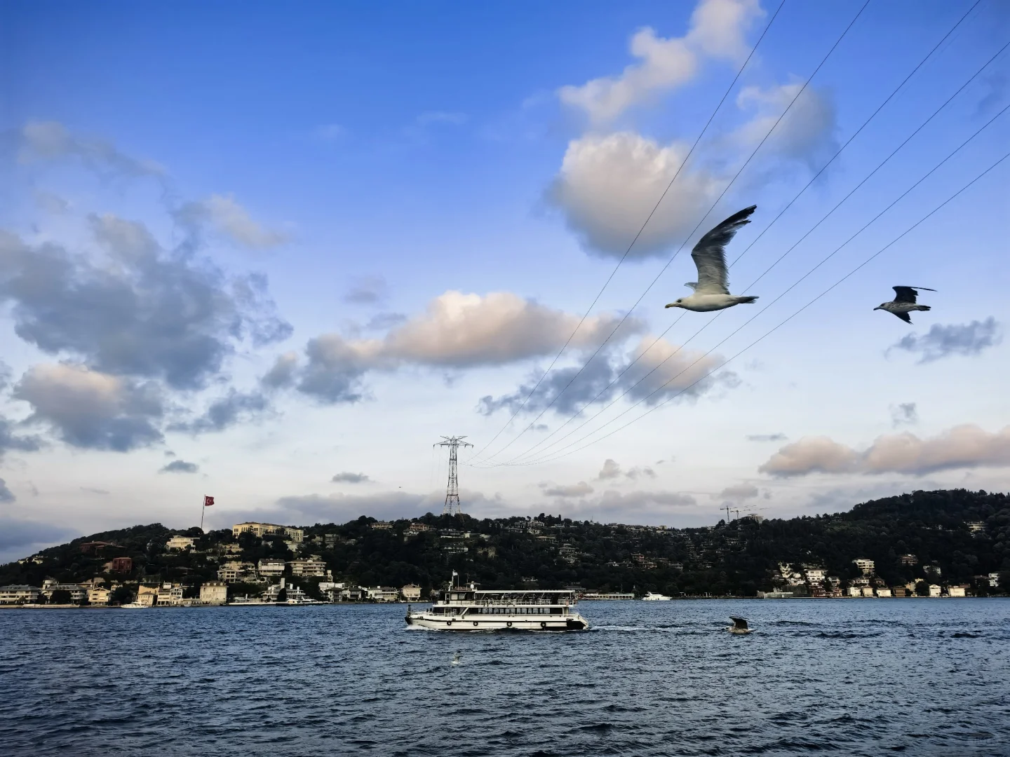 伊斯坦布尔citywalk第三日