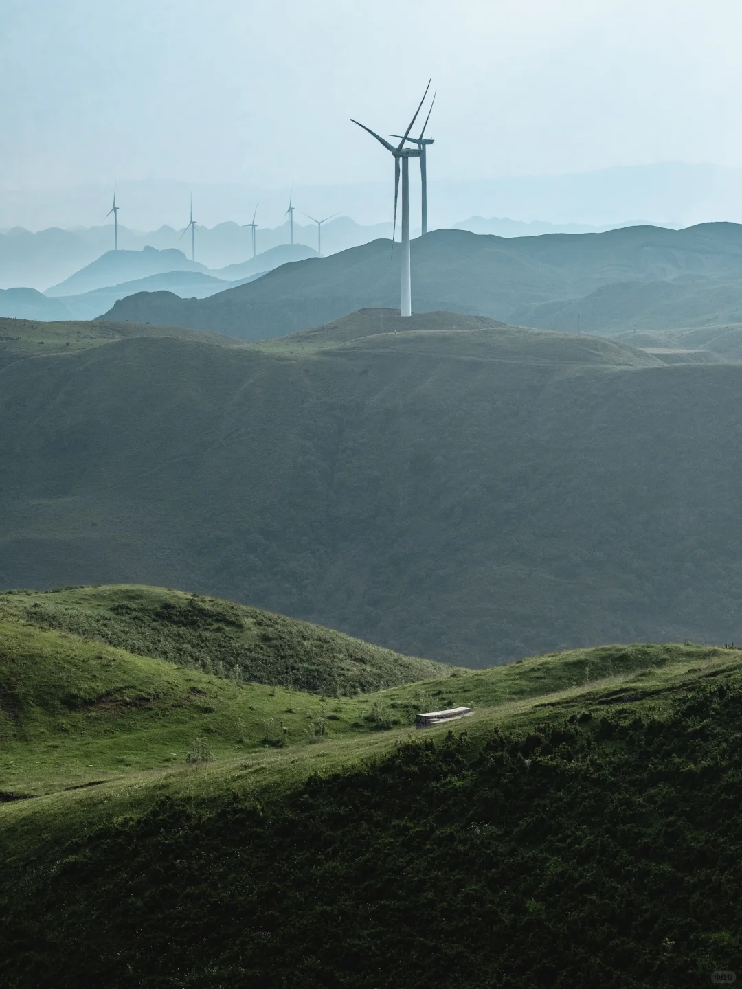 被朋友圈问疯，不是新疆内蒙❗️在贵州❗️