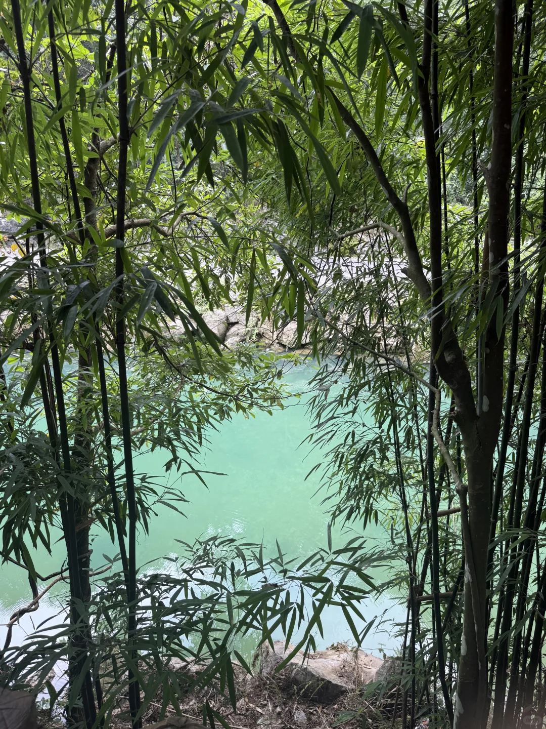 贵州行｜P人从贵阳到黔东南“劳逸结合版”