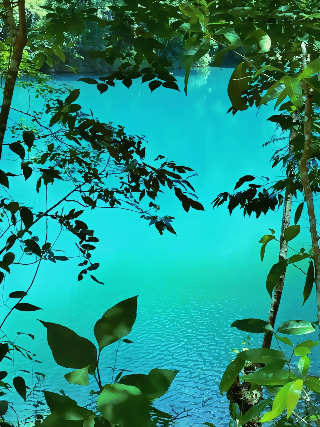 5A旅游景区贵州小七孔旅游攻略