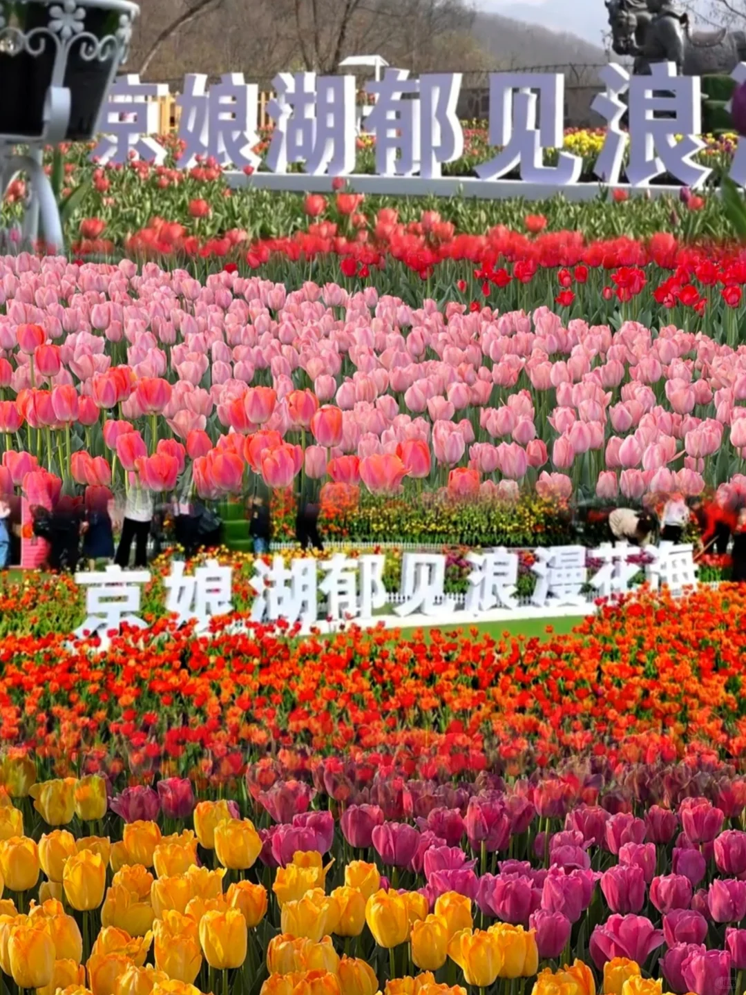 京娘湖旅游攻略：怎么玩、怎么吃、怎么住