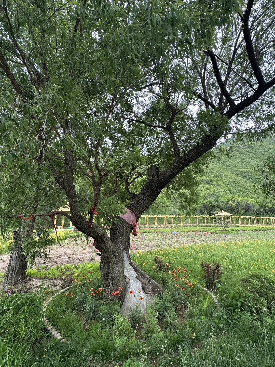 五寨沟| 99%人都不知道的小众绝美秘境🍀