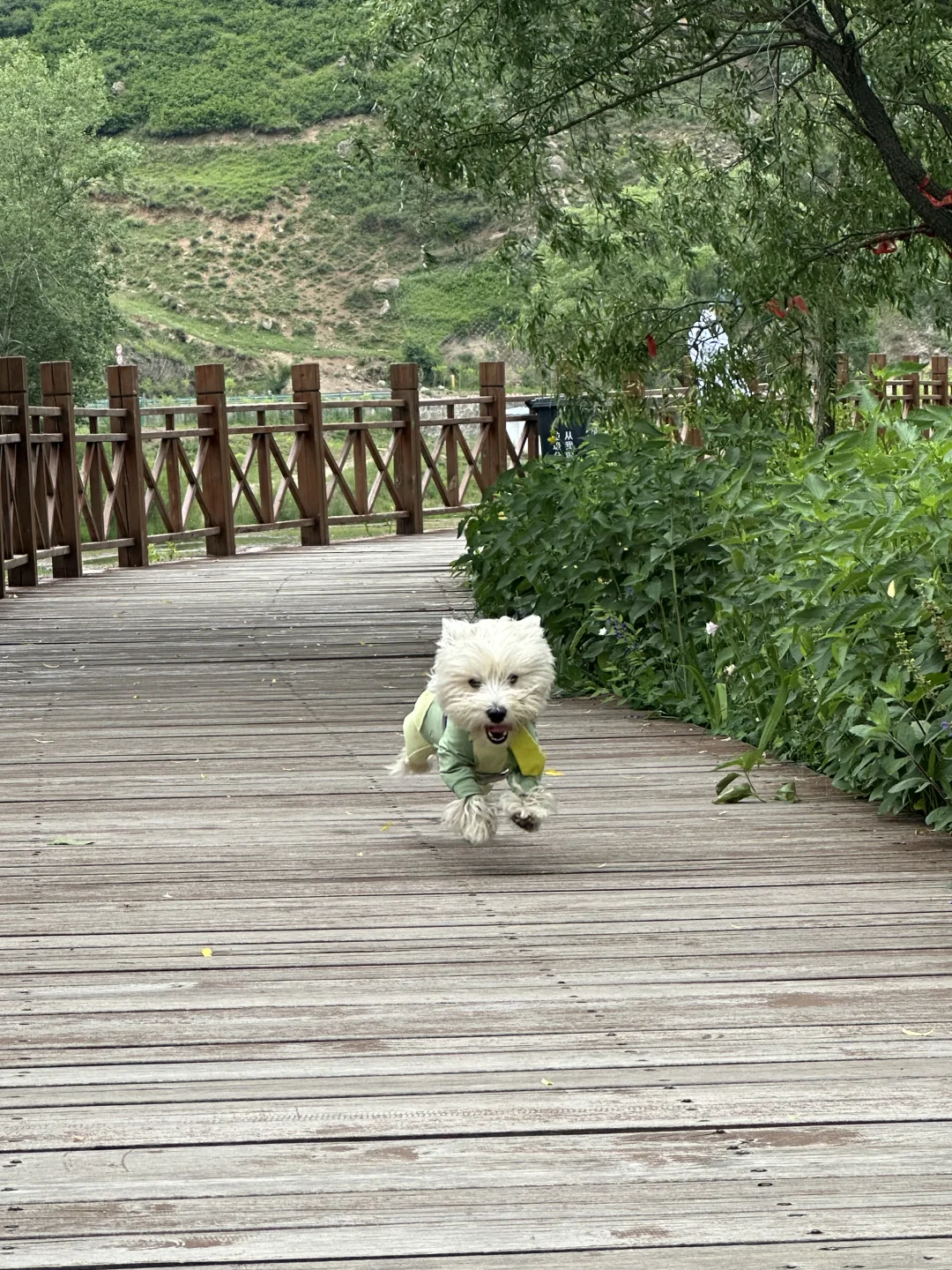 五寨沟| 99%人都不知道的小众绝美秘境🍀